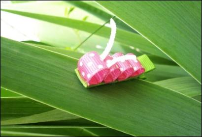 caterpillar
