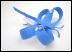 dragonfly2front