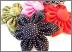 fabricblossoms1