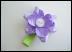 ribbonflower1