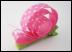 snail1