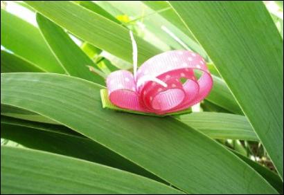 snail